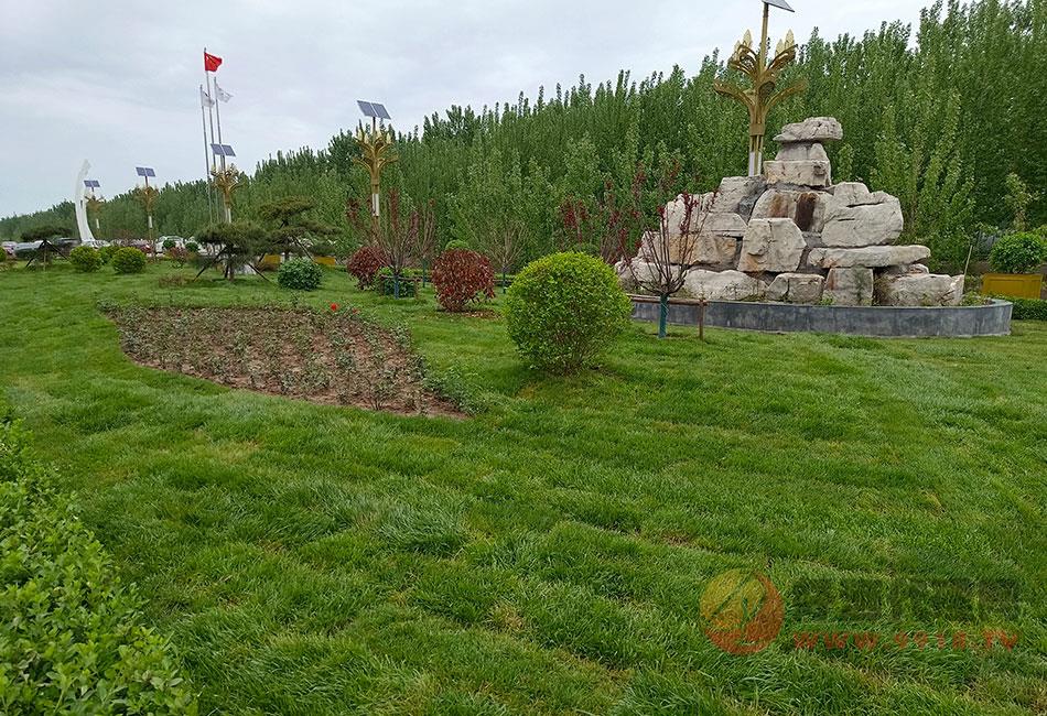 厂区照片